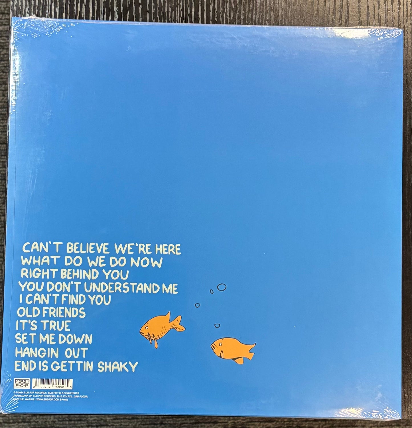 MASCIS, J - What Do We Do Now (Color Vinyl) LP Record