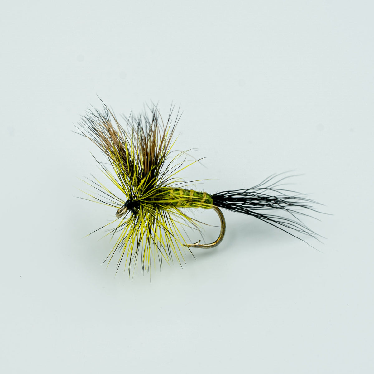 Green Drake-