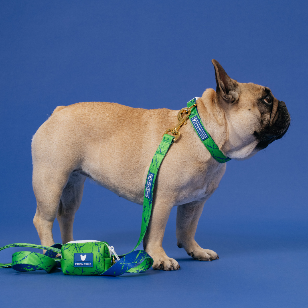 Frenchie Comfort Leash - Green Marble