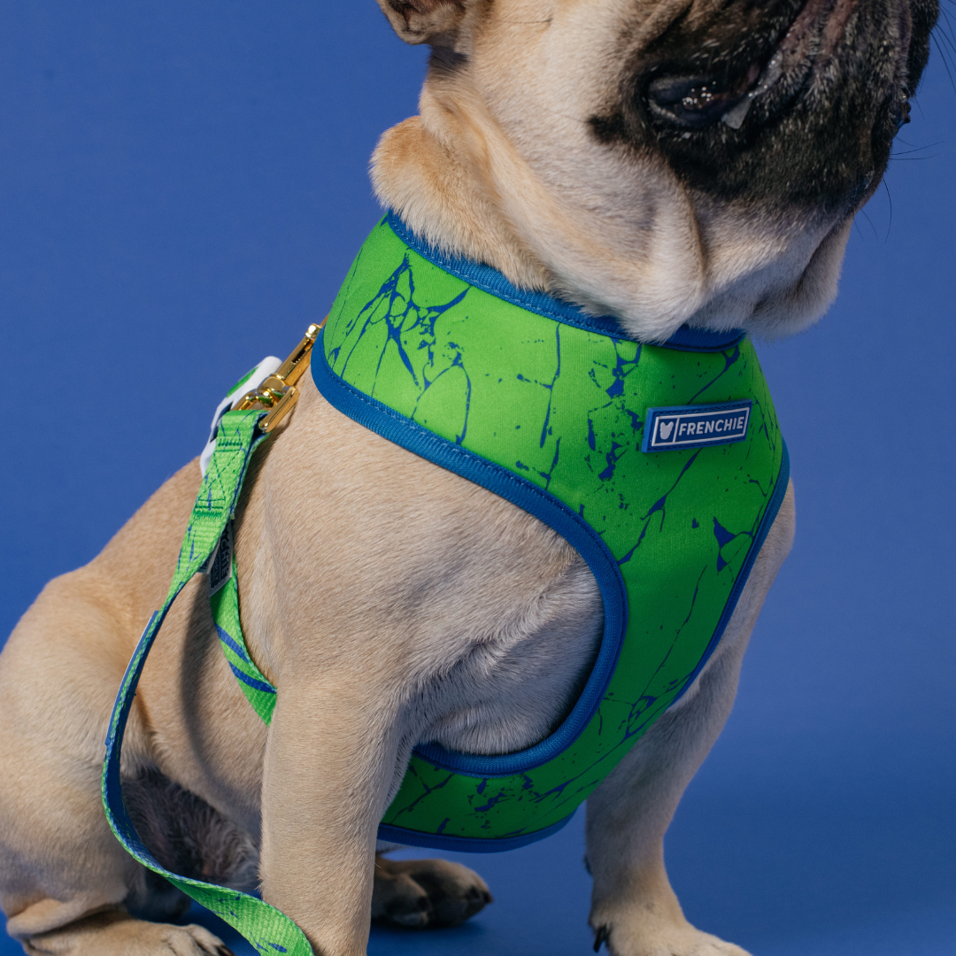 Frenchie Duo Reversible Harness - Green Marble