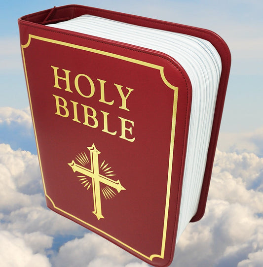 Beersy Booze Bible Hide a Cooler