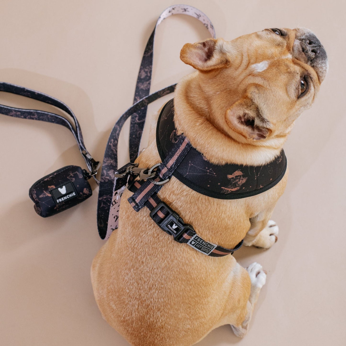 Frenchie Comfort Leash - Horoscope