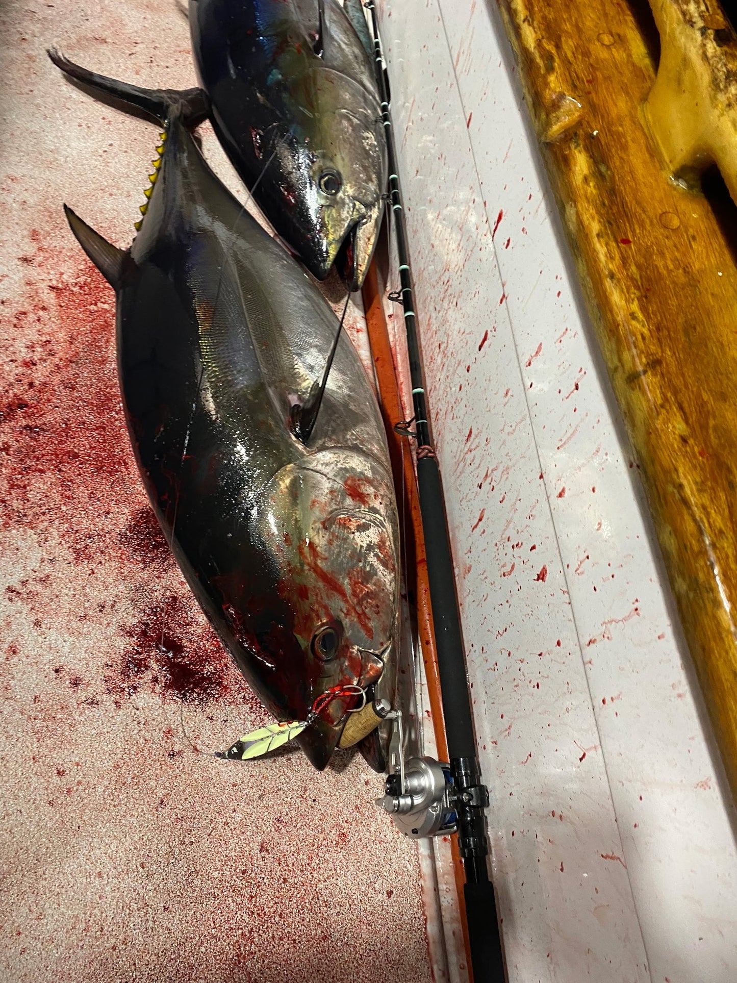 Submission Jigs - Samurai - Slow Pitch Jigs