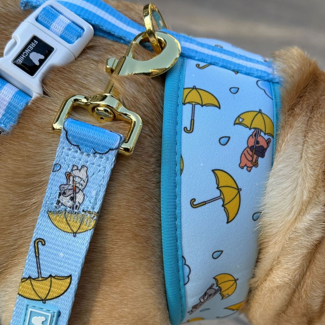 Frenchie Comfort Leash - It's Raining Frenchies