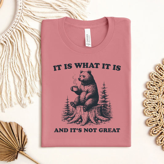 It Is What It Is Bear T-Shirt