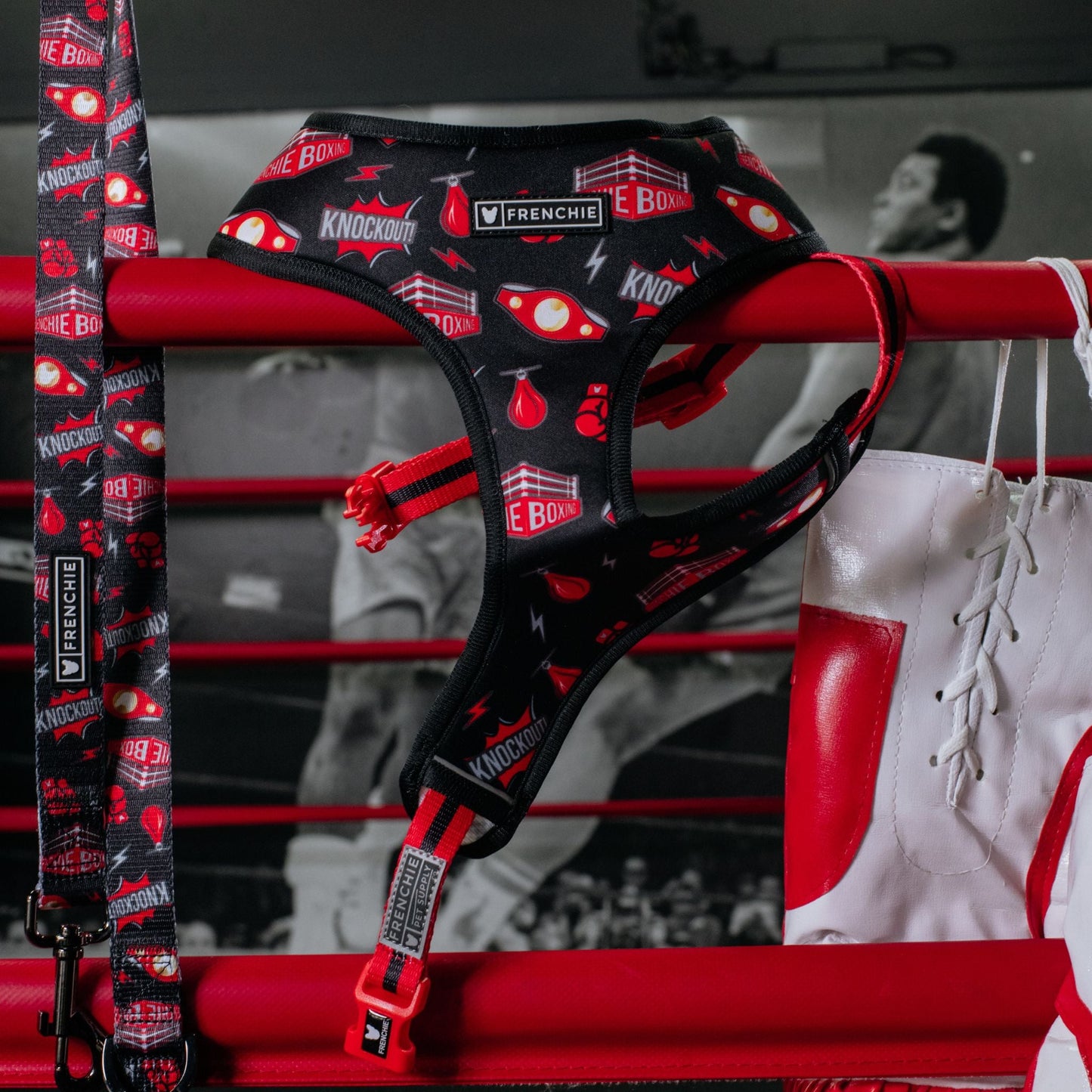 Frenchie Comfort Leash - Knockout