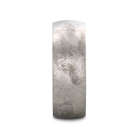MAGELLANIC Domed Titanium Ring with Meteorite Pattern – 8mm