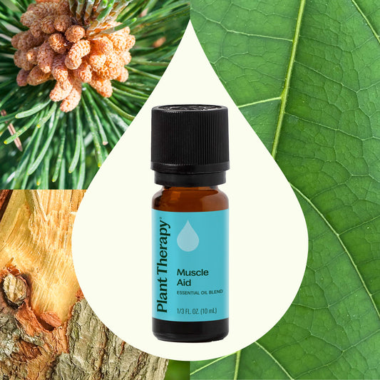 Muscle Aid Essential Oil Blend