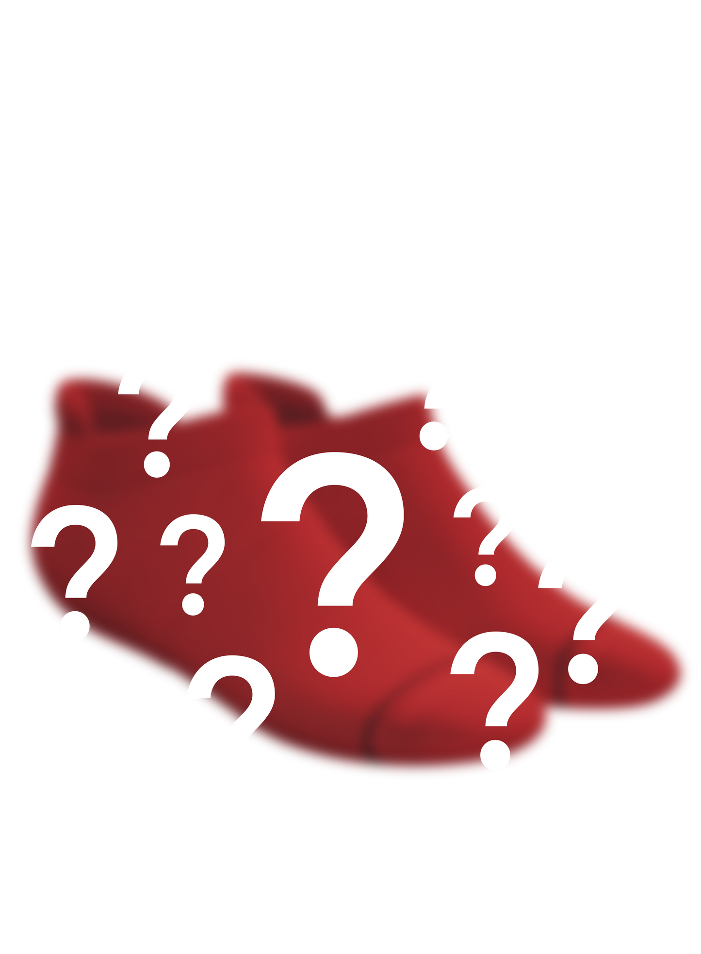 The Mystery | Surprise Heel Hammock™ Ankle Socks