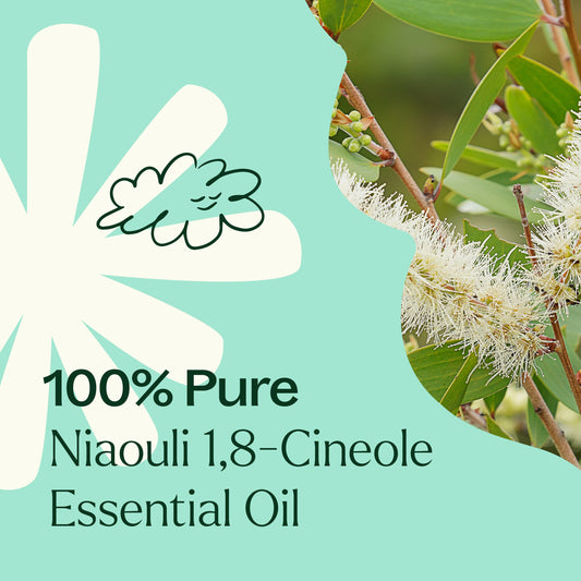 Niaouli 1,8-Cineole Essential Oil