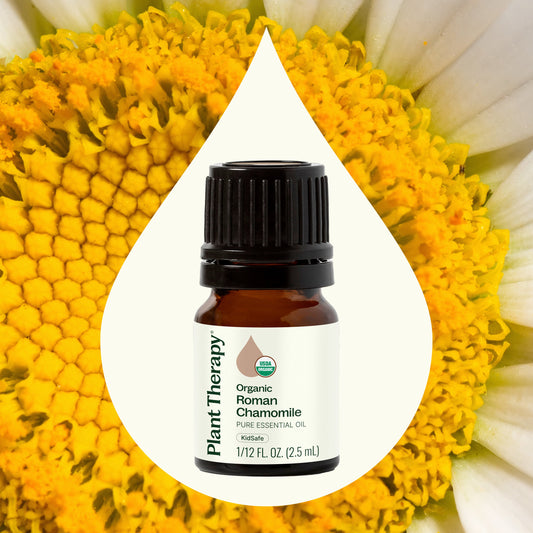 Organic Roman Chamomile Essential Oil