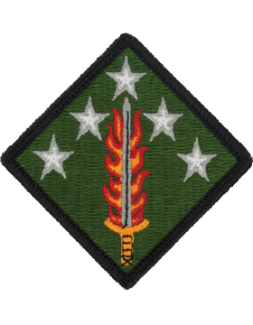 20th Support Command Full Color Dress Patch