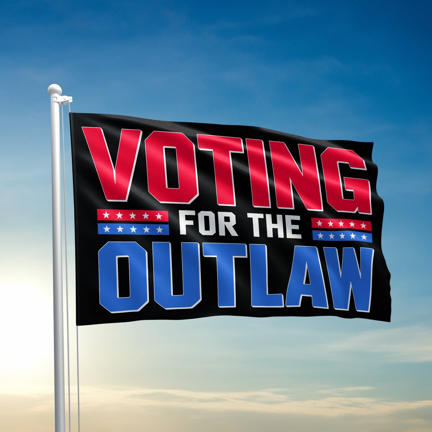 Voting For The Outlaw Flag - 2510
