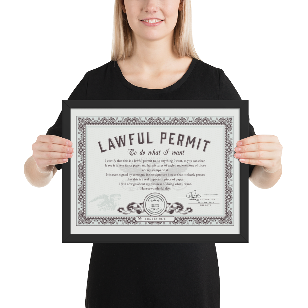 Framed Permit to Do What You Want