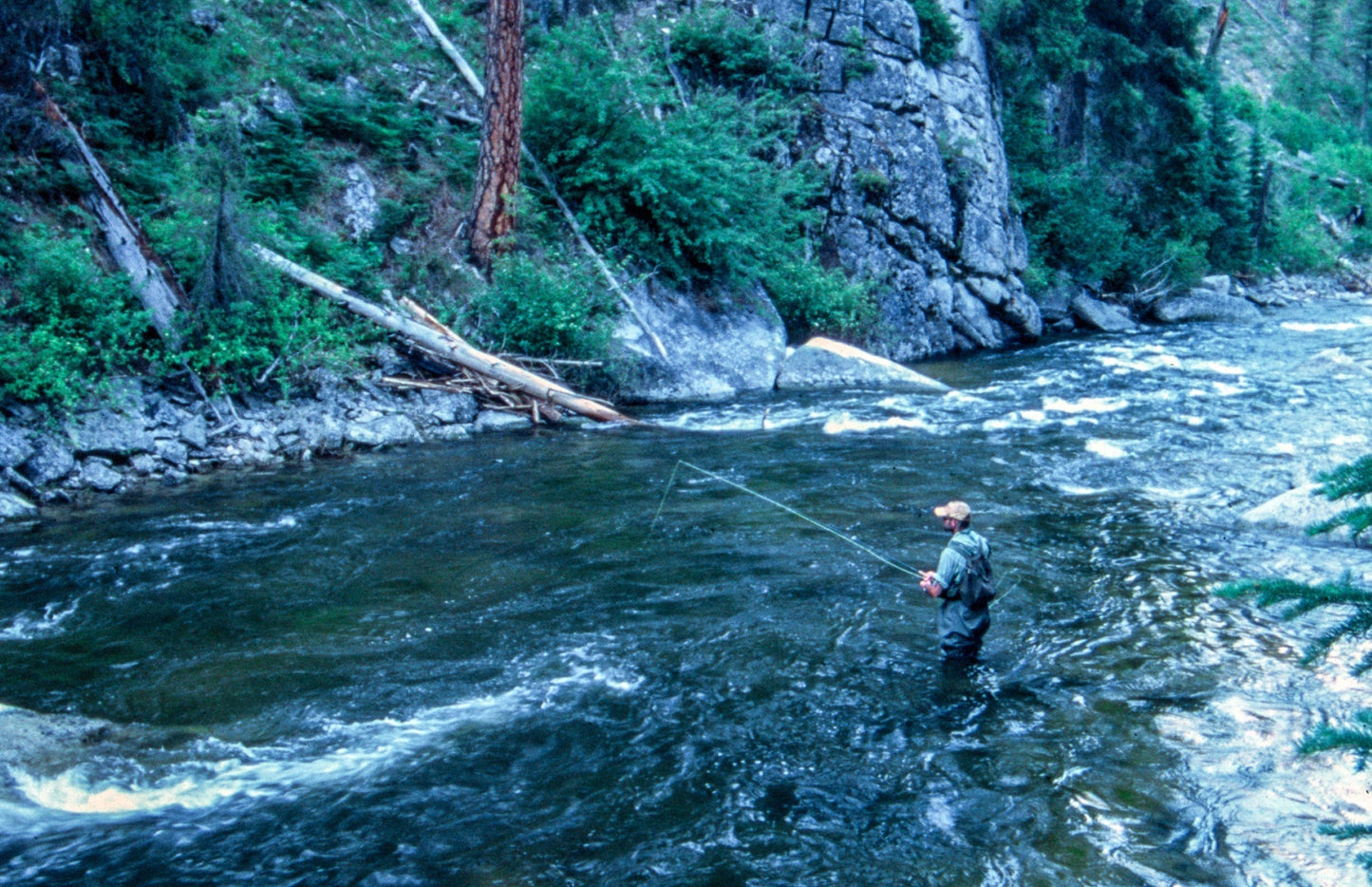 Tungsten Bead Tactical Olive Mini Bugger Euro Nymphing Fly - 6 Flies Size 12