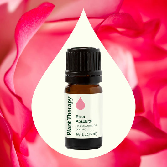 Rose Absolute Essential Oil