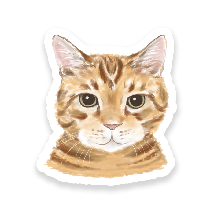 Faces Of Kitty Town Sticker Pack