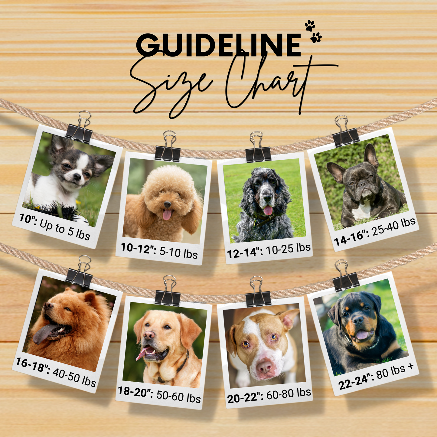 Bahamas Sambboho dog collar (with center D-ring)