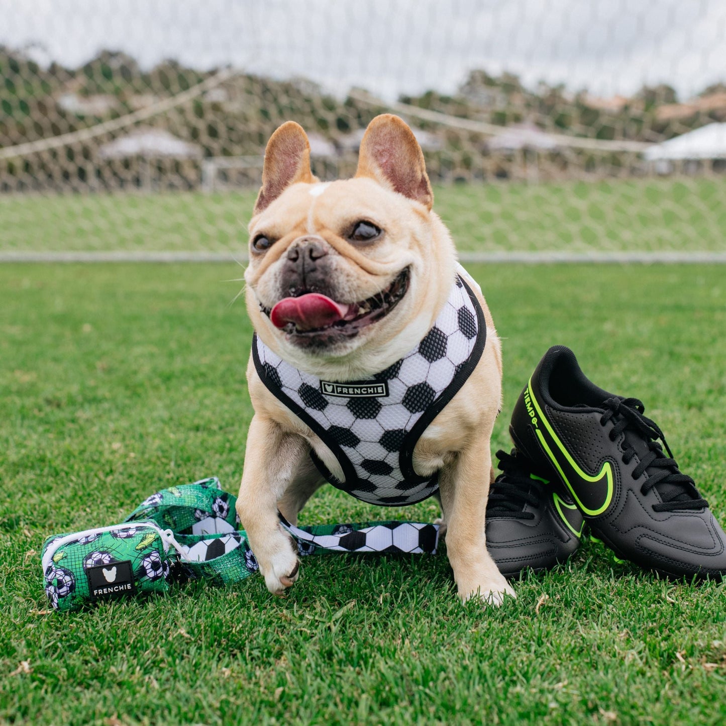 Frenchie Poo Bag Holder - Soccer