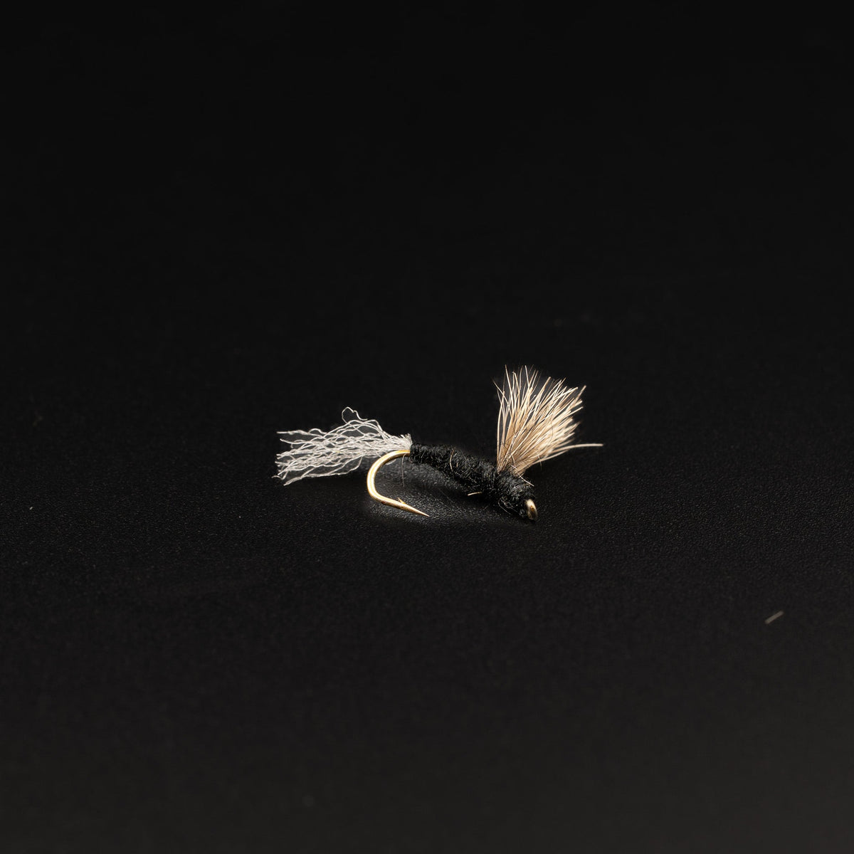 Sparkle Dun – Trico (Male)