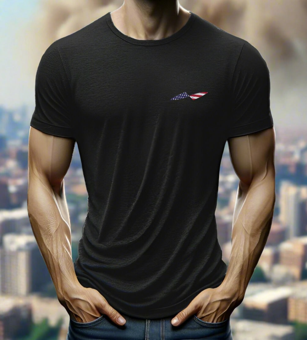 A Republic, If You Can Keep It T-shirt