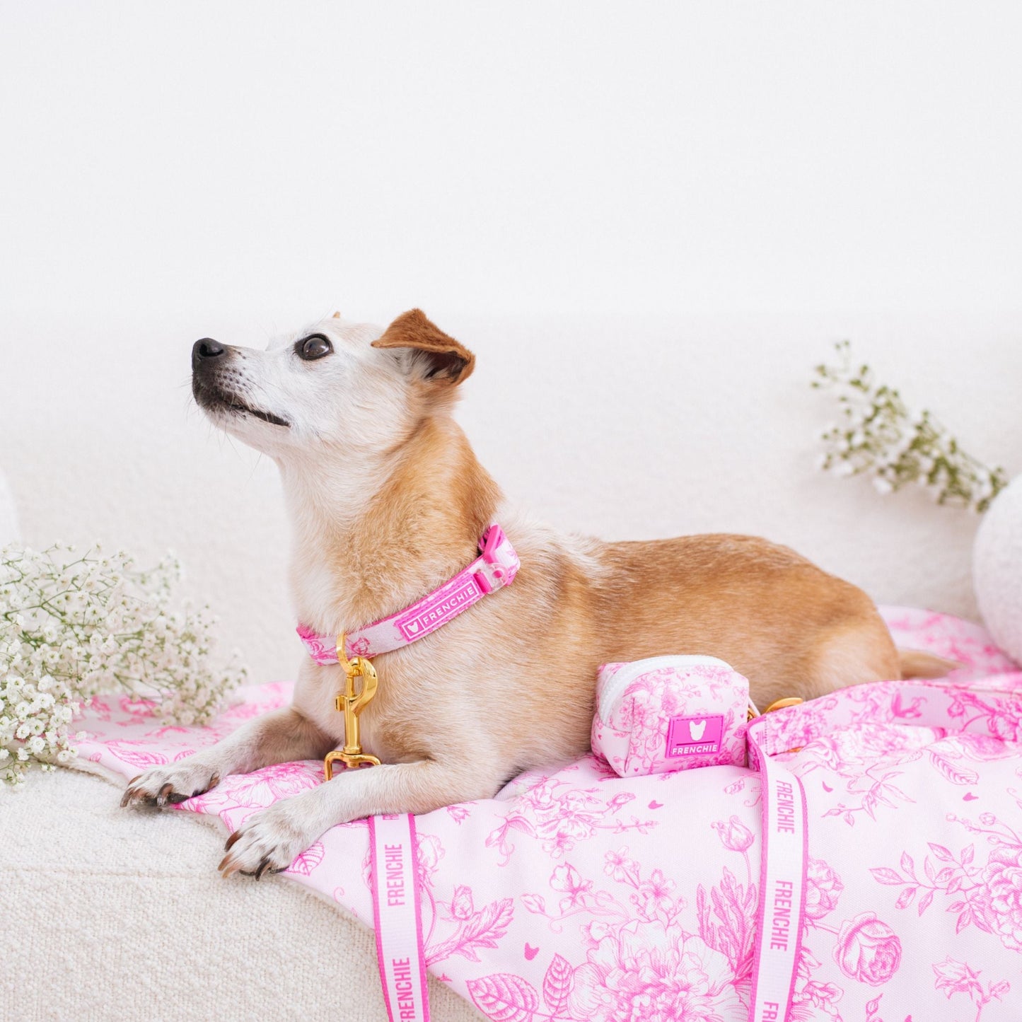 Frenchie Comfort Collar - Toile (Pink)