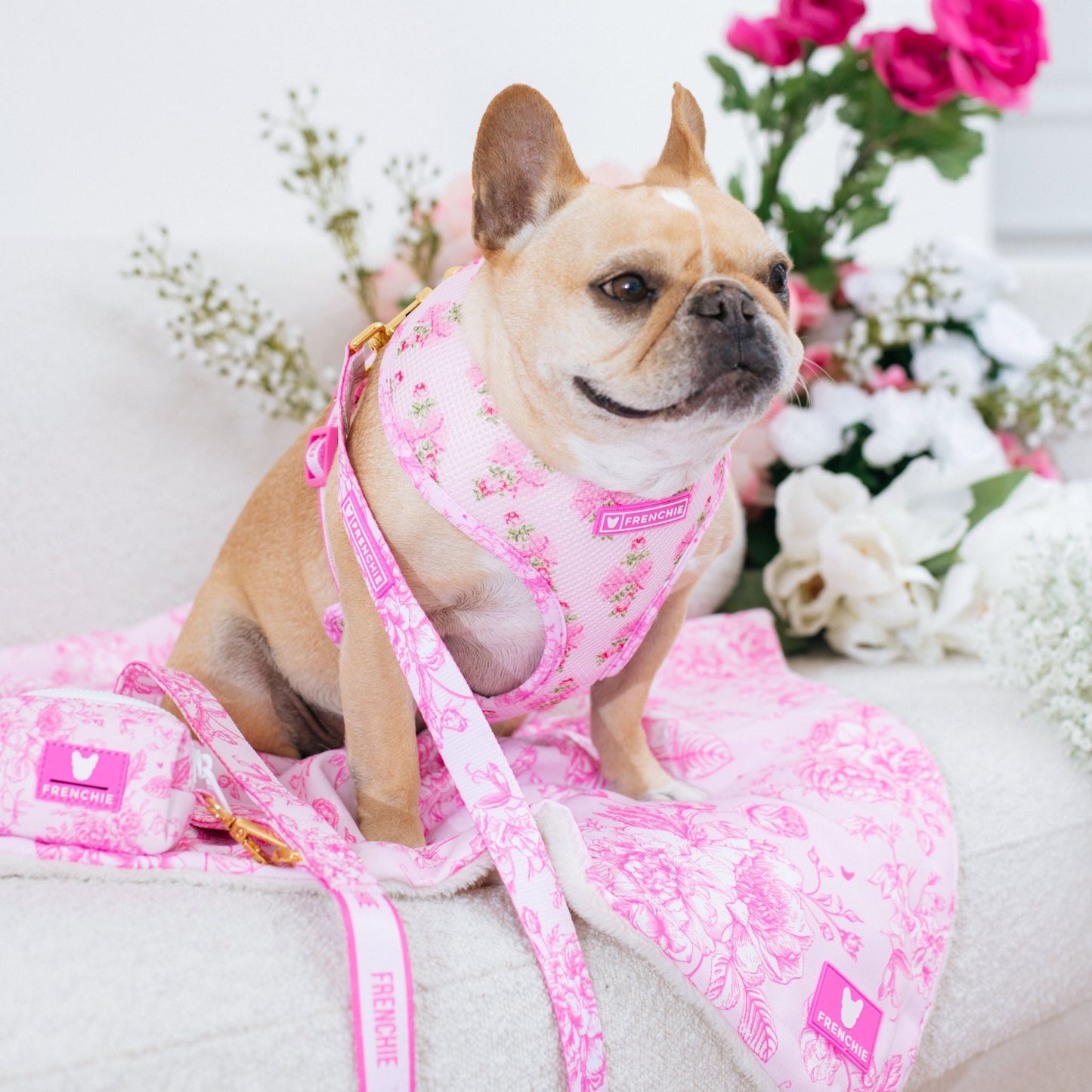 Frenchie Comfort Leash - Toile (Pink)