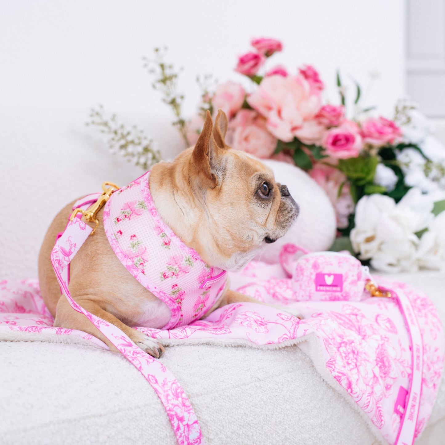 Frenchie Duo Reversible Harness - Toile (Pink)