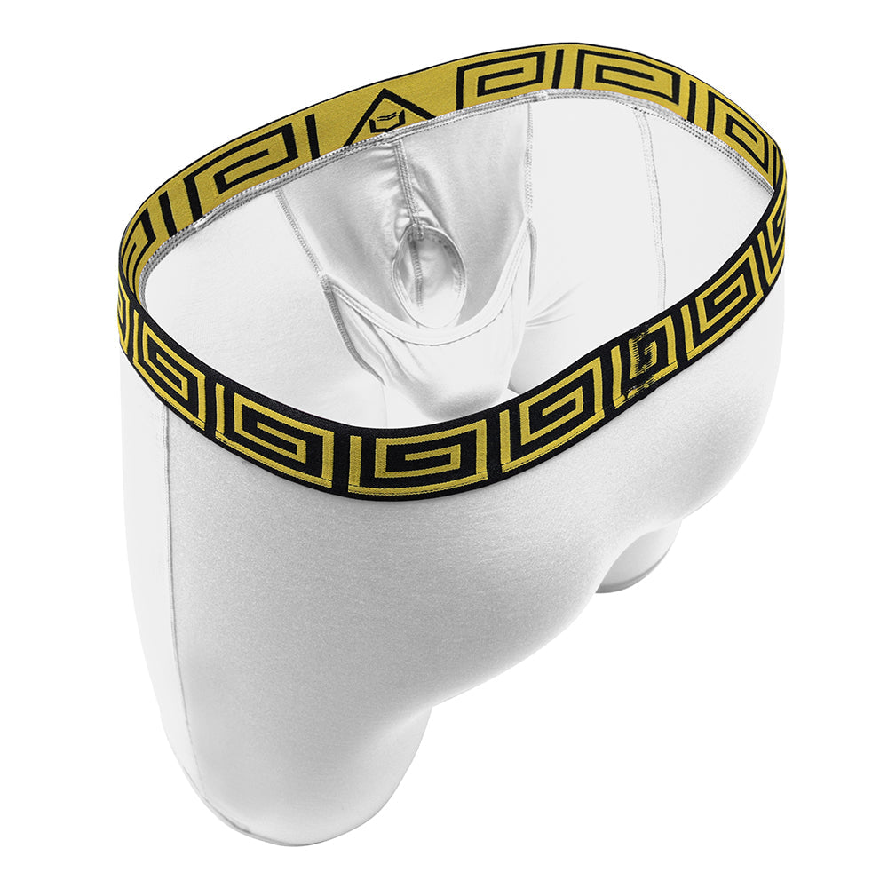 SHEATH V Modal Men's Pouch Boxer Brief 8"