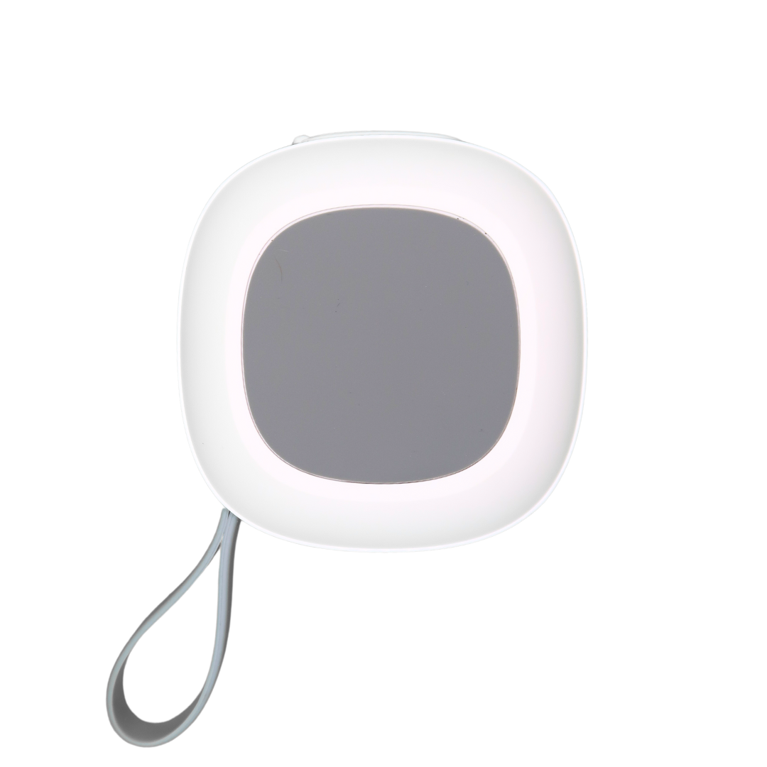 The Eagle Bluetooth Magnetic Speaker