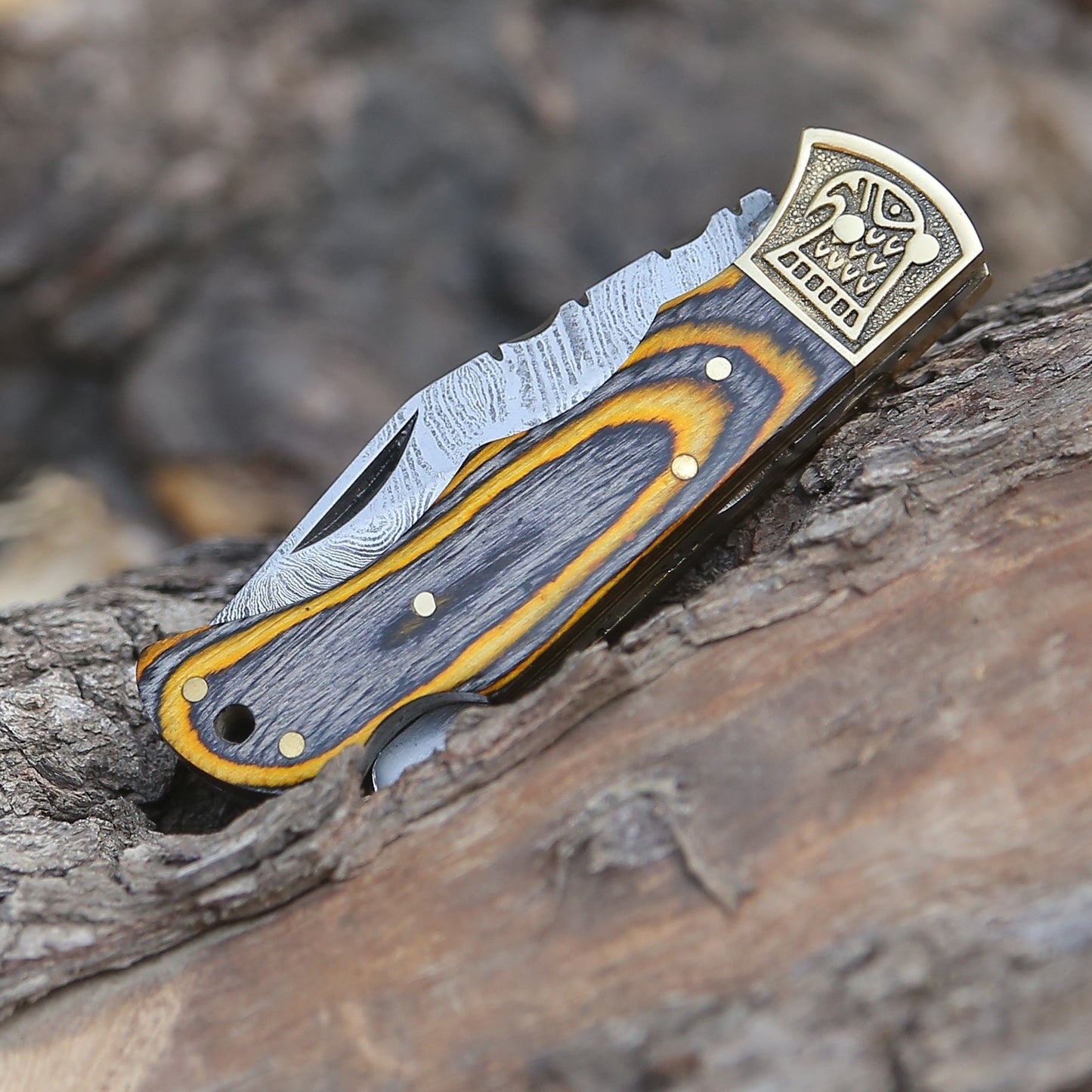 Customs Hand Made Damascus Steel Hunting Folding Knife Brass Bolster With Colored Wood Handle WH 2593