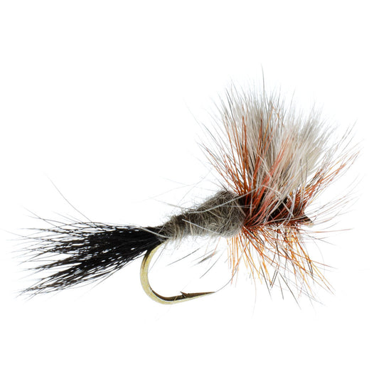 Ausable Wulff Classic Dry Fly 1 Dozen Flies Hook Size 12