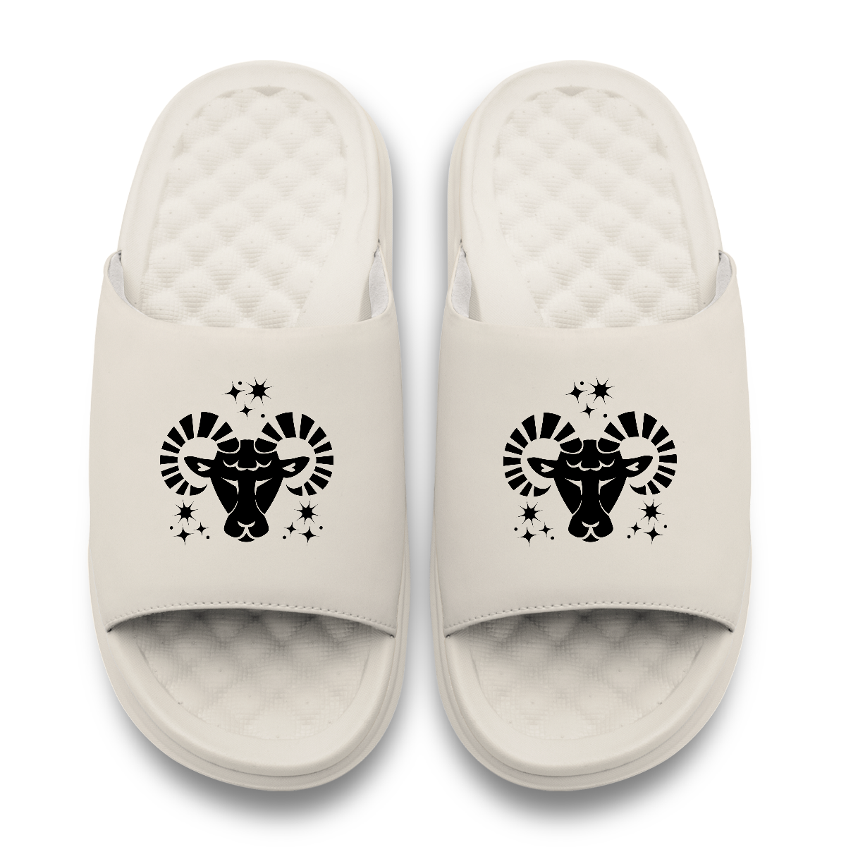 Aries Zodiac Symbols Motive