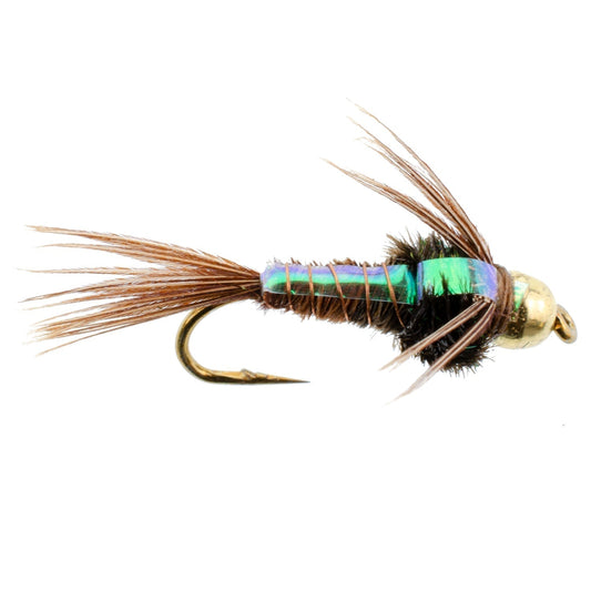 Tungsten Bead Head Flash Back Pheasant Tail Nymph 1 Dozen Flies Size 10