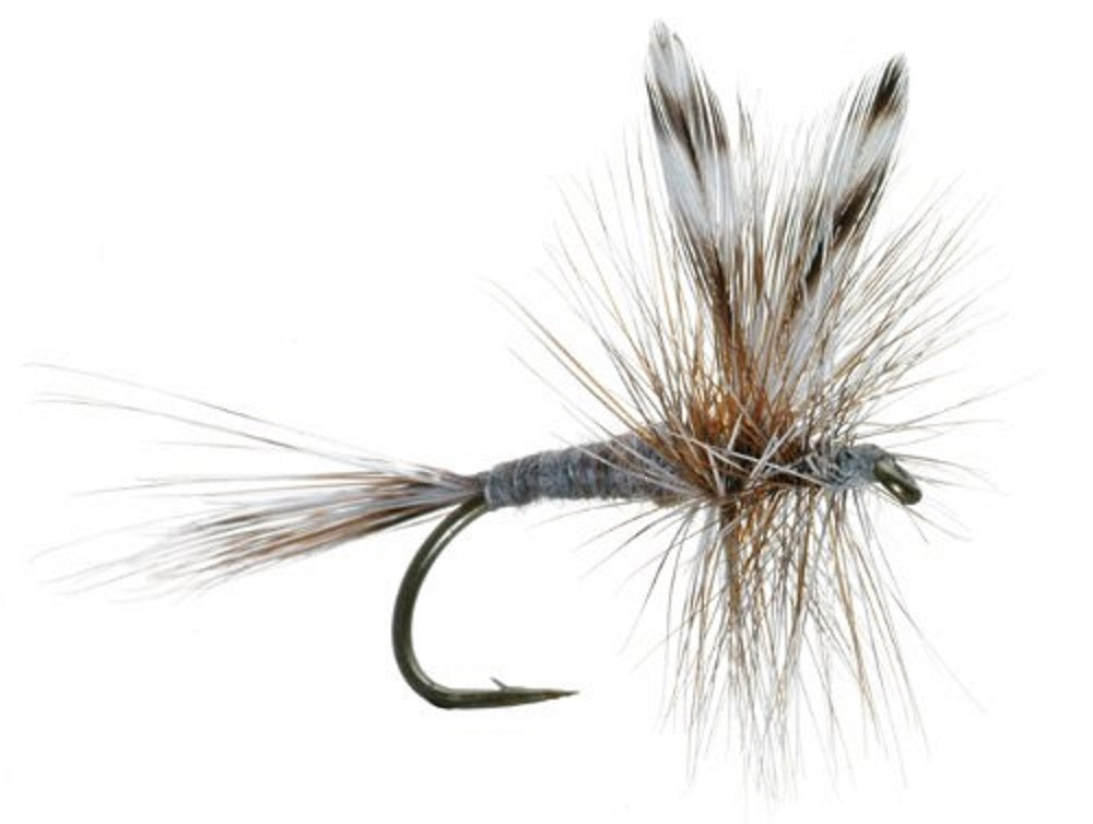 Trout Fly Assortment - Essential Western Dry and Nymph Fly Fishing Flies Collection - 1 Dozen Trout Flies with Fly Box