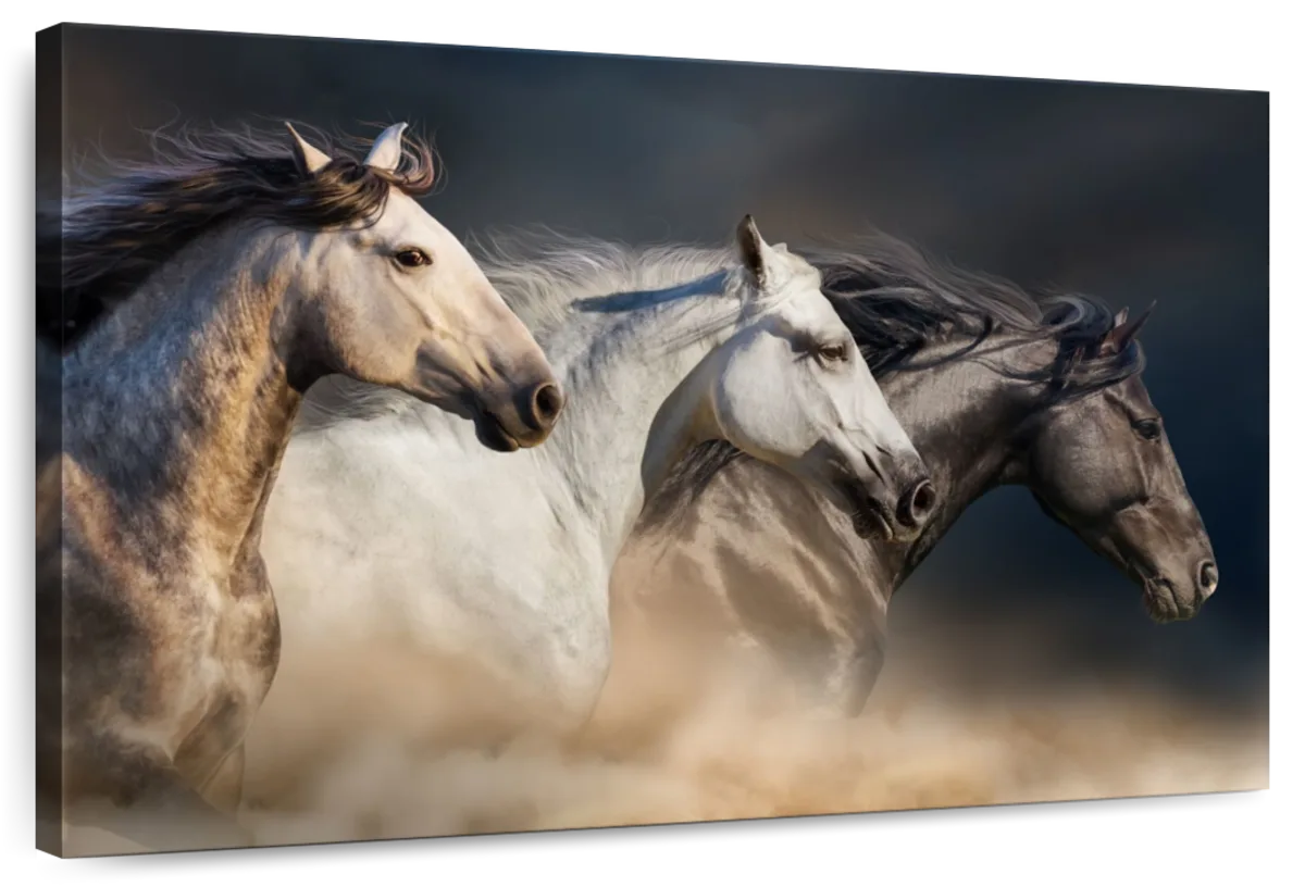 Magnificent Horses Wall Art