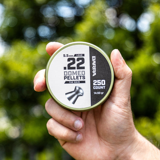 Bain Domed .22 Caliber Pellets - 250 Count