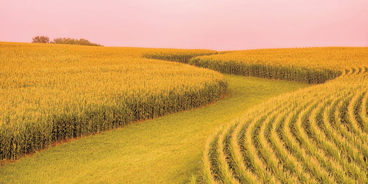 Capture Minnesota II: Minnesota Through the Eyes of Minnesota Photographers