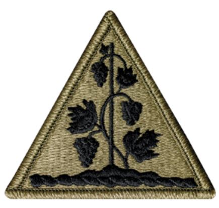 Connecticut Army National Guard OCP Patch - U.S. Army Patch