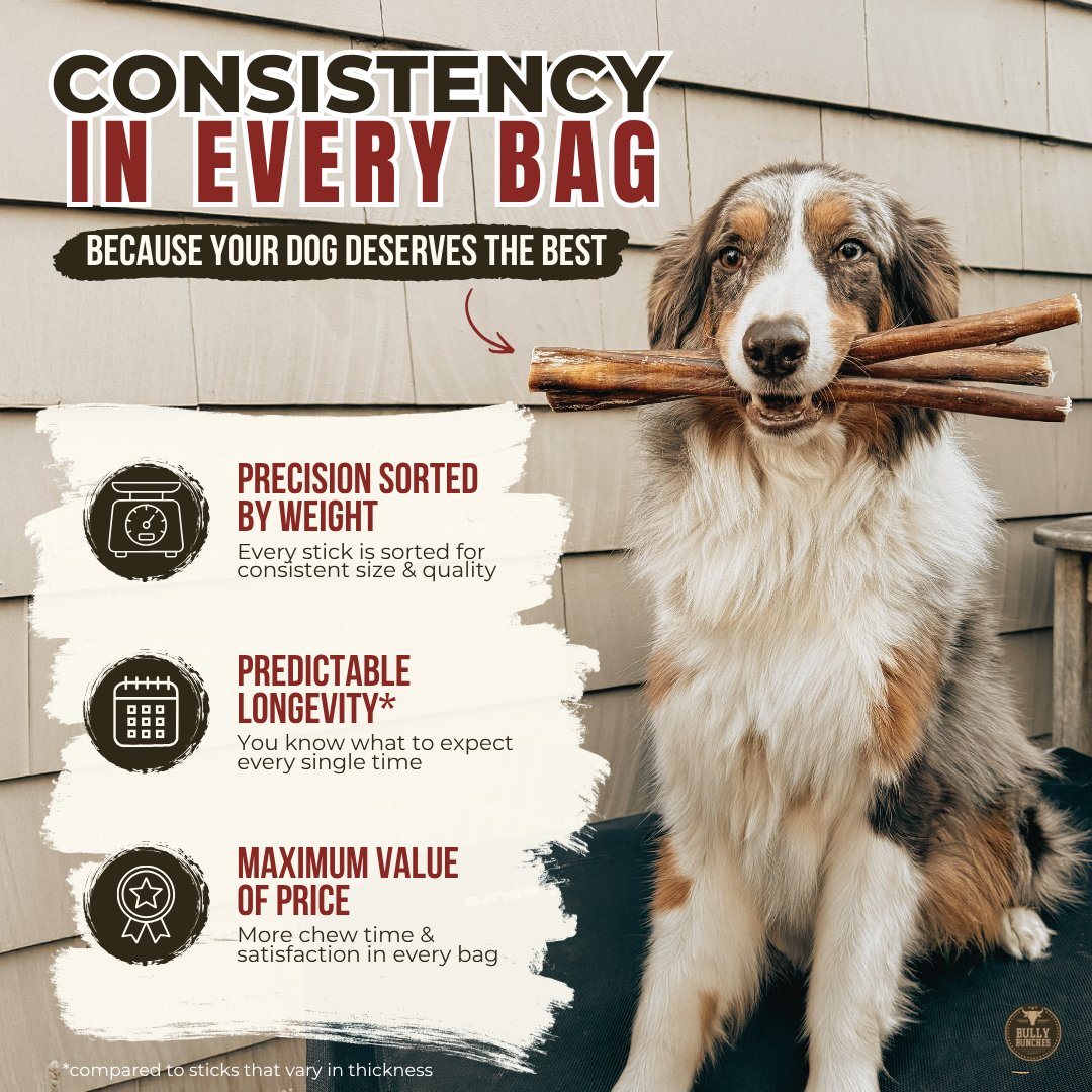 Small Bully Stick Ring