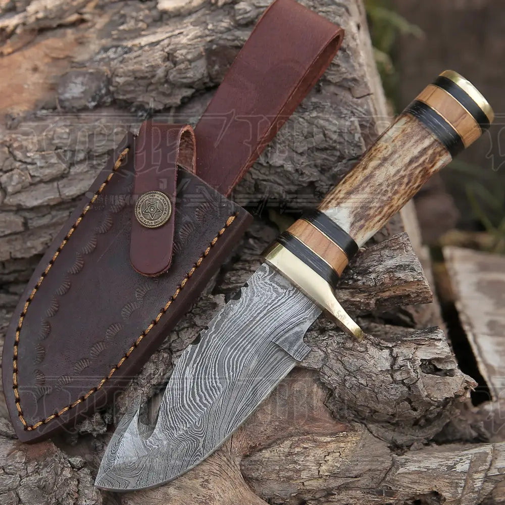 Custom Hand Made Forged Damascus Steel Gut Hook Hunting Knife With Stag Handle WH 3749