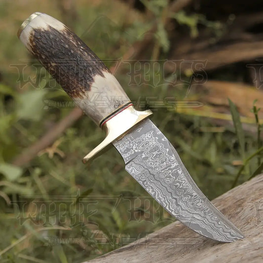 Custom HANDMADE FORGED DAMASCUS Steel Hunting Knife W/ Stag & Brass Guard Handle WH 4399
