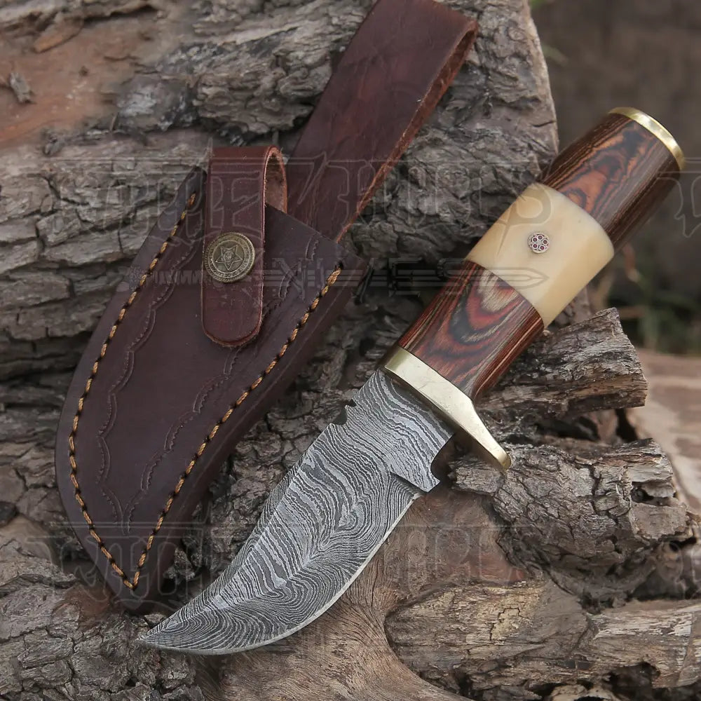 CUSTOM HANDMADE FORGED DAMASCUS Steel Hunting Knife W /Wood & camel bone Handle