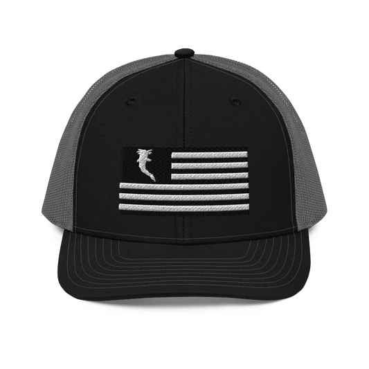 Flag Embroidered BnW (Snapback)