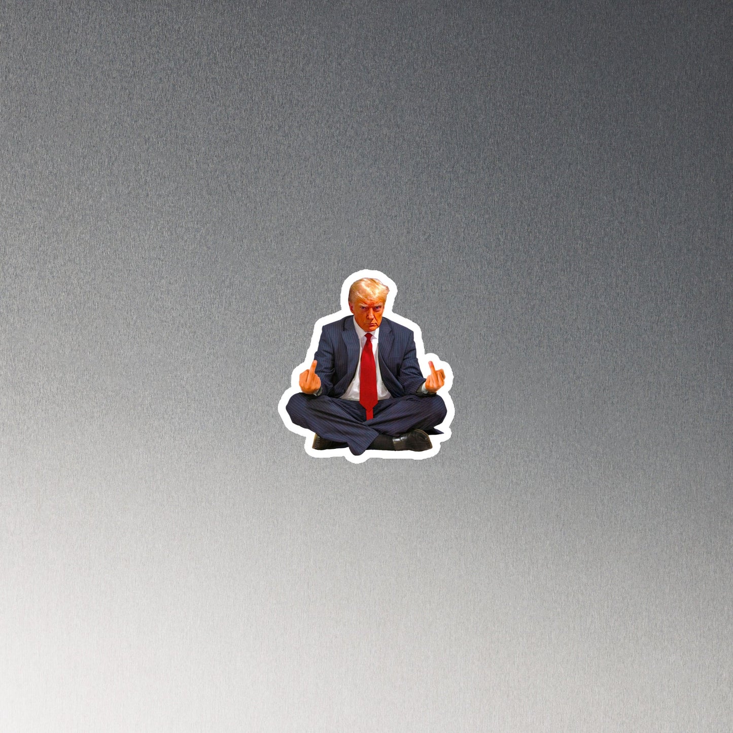 Zen of Trump Mugshot Magnet