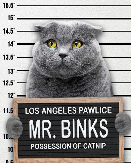 Dog Mugshot Custom Pet Mugshot of your Dog, Cat or Pet