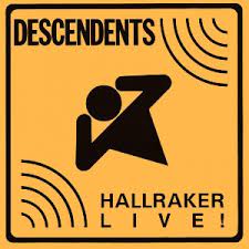 Descendents - Hallraker Vinyl LP Record