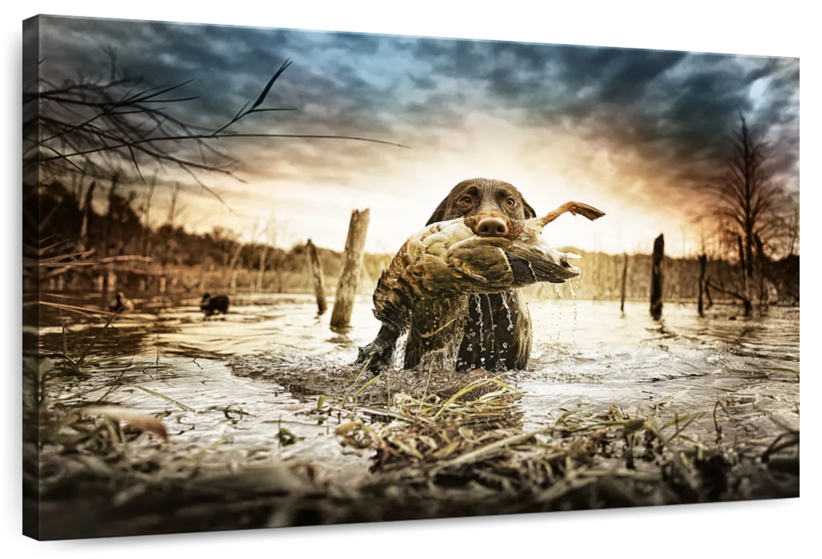 Dog Fetching Game Wall Art