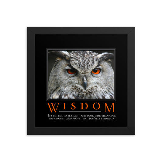 Wisdom Demotivational Framed Print