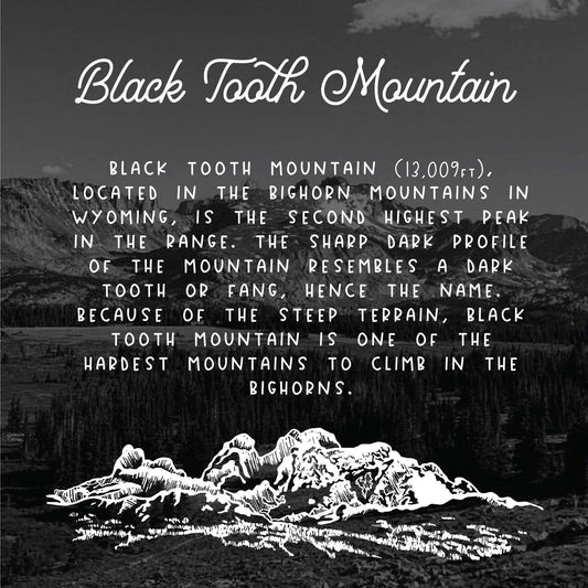 Black Tooth Mountain Bracelet